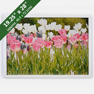 White Puzzle Frame For 19.25X28 Inches