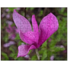 Jigsaw Puzzles 10