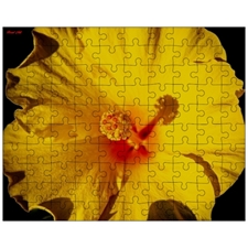 Jigsaw Puzzles 10