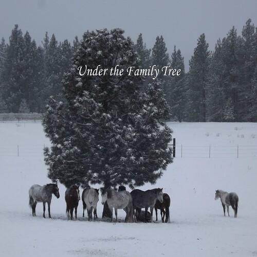9 Wild Horses