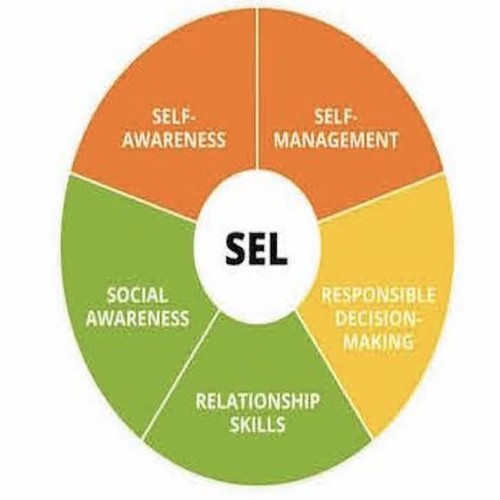 The SEL Wheel