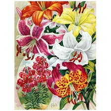 Traditional Jigsaw Puzzles