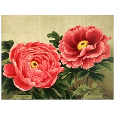 Traditional Jigsaw Puzzles