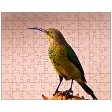 Jigsaw Puzzles 10