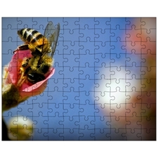 Jigsaw Puzzles 10