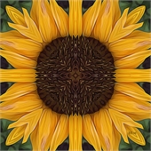 Traditional Jigsaw Puzzles