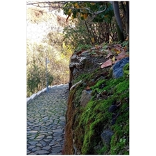 Traditional Jigsaw Puzzles