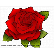 Traditional Jigsaw Puzzles