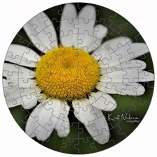 Round Puzzles