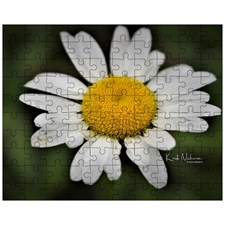 Jigsaw Puzzles 10