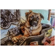 Traditional Jigsaw Puzzles