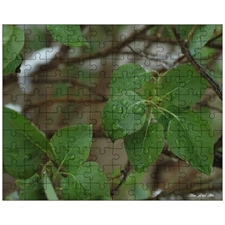 Jigsaw Puzzles 10