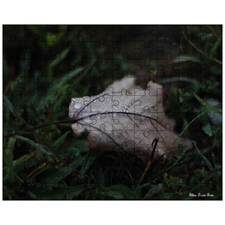 Jigsaw Puzzles 10