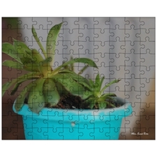 Jigsaw Puzzles 10