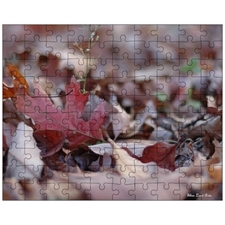 Jigsaw Puzzles 10