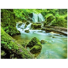 Traditional Jigsaw Puzzles