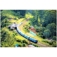 Traditional Jigsaw Puzzles