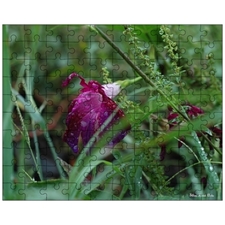 Jigsaw Puzzles 10