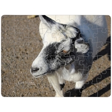 Puzzle Plastic