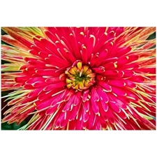 Traditional Jigsaw Puzzles