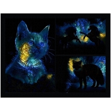 Traditional Jigsaw Puzzles