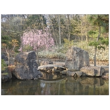 Traditional Jigsaw Puzzles