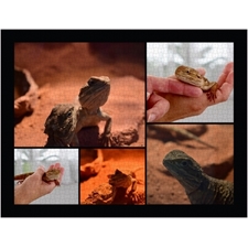 Traditional Jigsaw Puzzles