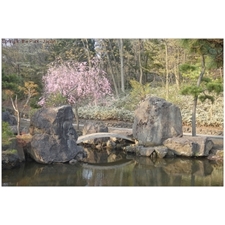 Traditional Jigsaw Puzzles
