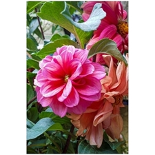 Traditional Jigsaw Puzzles