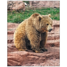 Jigsaw Puzzles 10