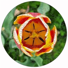 Round Puzzles