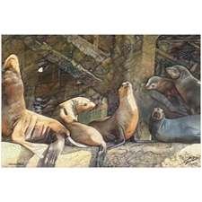 Traditional Jigsaw Puzzles