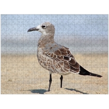 Traditional Jigsaw Puzzles