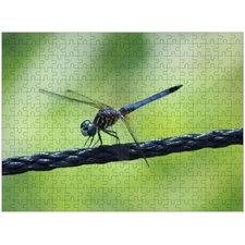 Traditional Jigsaw Puzzles