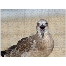 Traditional Jigsaw Puzzles