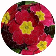 Round Puzzles