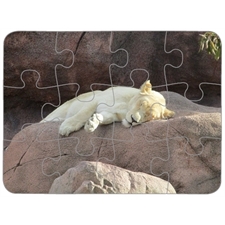 Puzzle Plastic