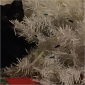 Puzzle Plastic