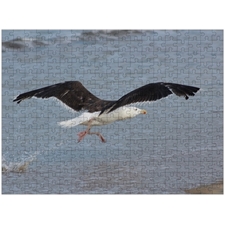 Traditional Jigsaw Puzzles