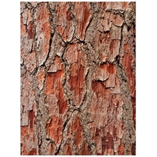 Traditional Jigsaw Puzzles