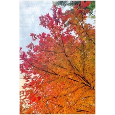 Traditional Jigsaw Puzzles