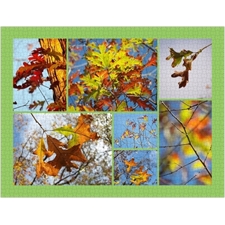 Traditional Jigsaw Puzzles