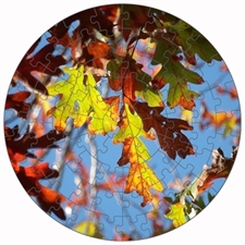 Round Puzzles
