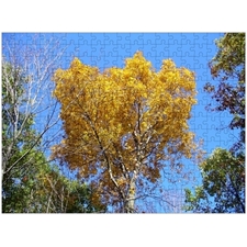 Traditional Jigsaw Puzzles