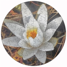 Round Puzzles