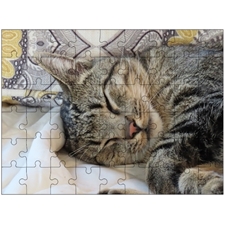 Traditional Jigsaw Puzzles