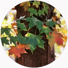Round Puzzles