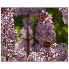 Jigsaw Puzzles 10