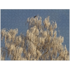 Traditional Jigsaw Puzzles