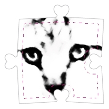 Puzzle Endless